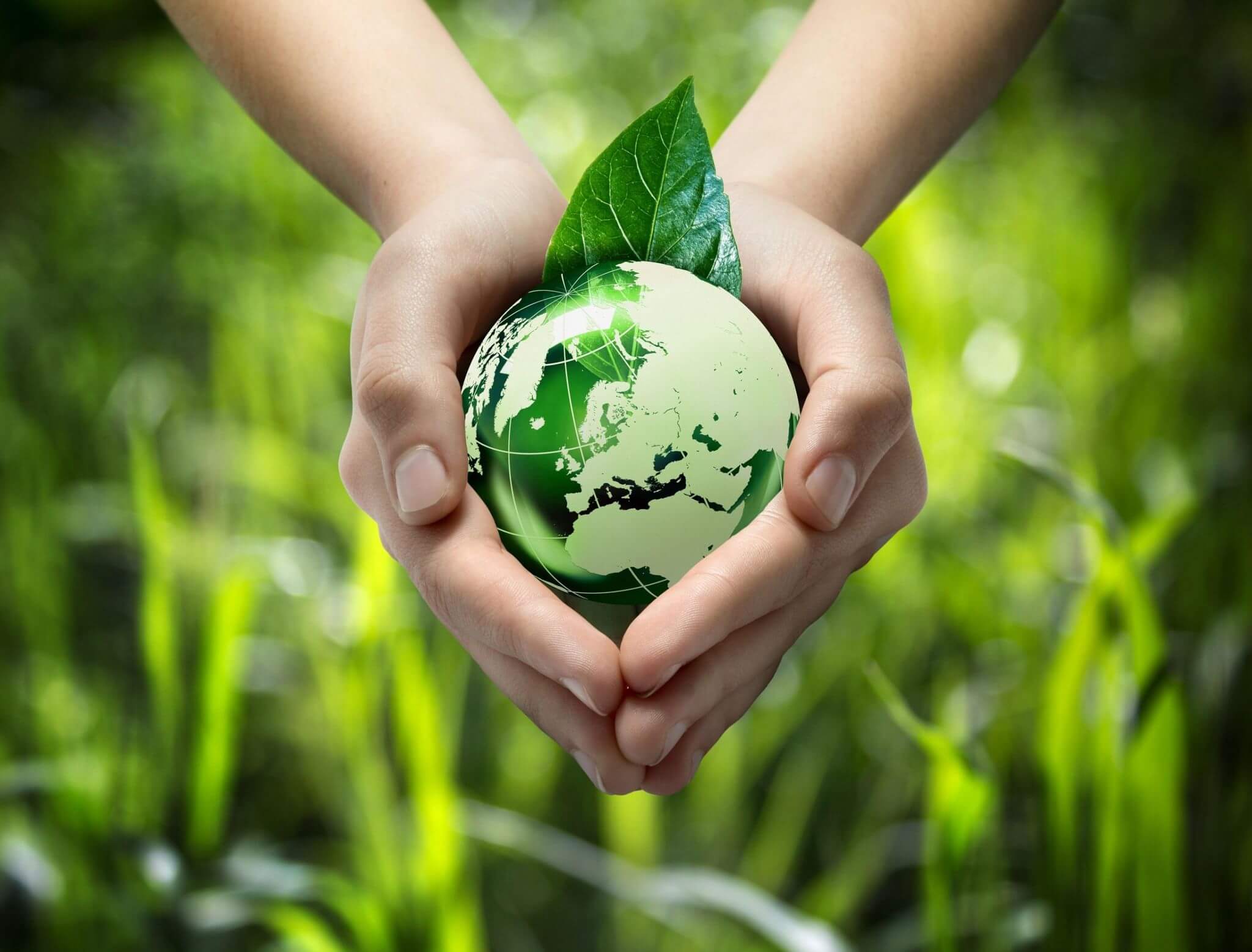 5 июня — День окружающей среды